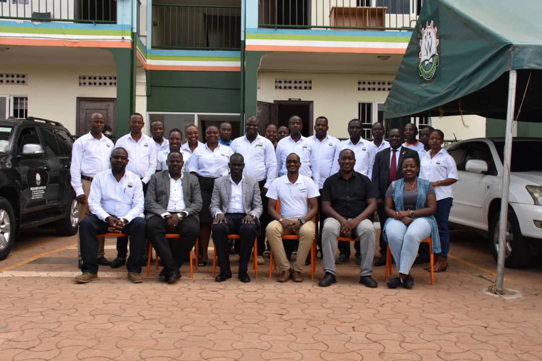 SyMore Solutions team