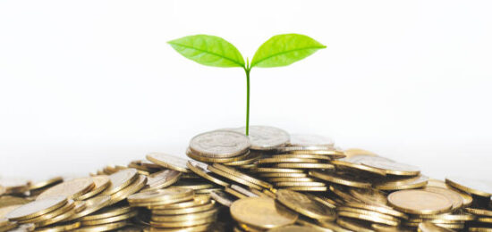 green seed growth on coins stack with white background. money saving. business investment successful growing concept.